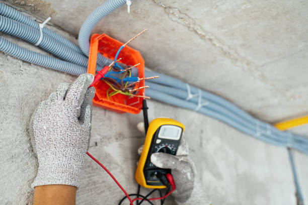 Best Electrical System Inspection  in Lake Tansi, TN